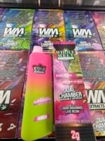 Whole Melt Dual Disposable