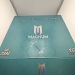Magnum Disposable