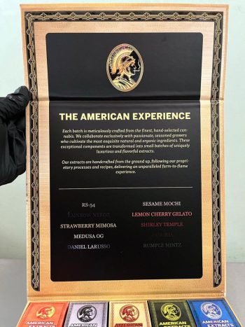 American Extracts 2G Disposable