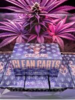 Clean Carts 2G Disposable Purple Edition
