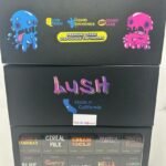 Lush-Premium-2G-Disposable-Live-Resin