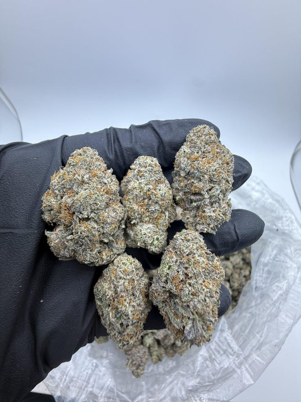 Truffle-Milk.jpg Truffle Milk - Image 1