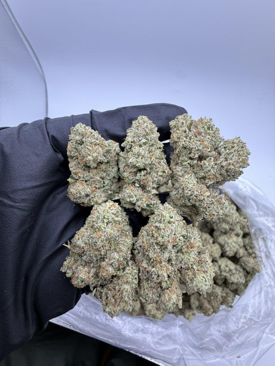 Trufflez.jpg Trufflez - Image 1